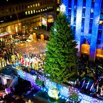 The 2009 Christmas tree in Rockefeller Center, minutes before illumination.
